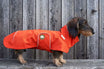 Dackel-Regenmantel Cooper in Pumpkin Orange