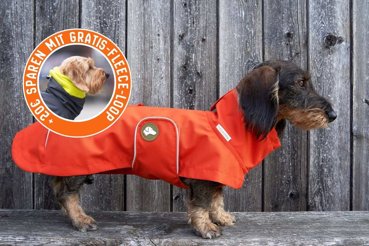 Dackel-Regenmantel Cooper in Pumpkin Orange