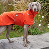 Hunde-Regenmantel Cooper in Pumpkin Orange