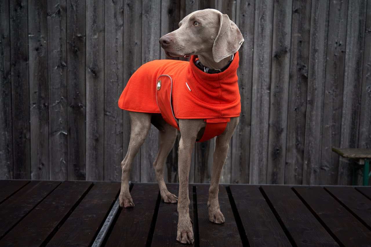 Fleece Hundepullover Henry in Pumpkin Orange