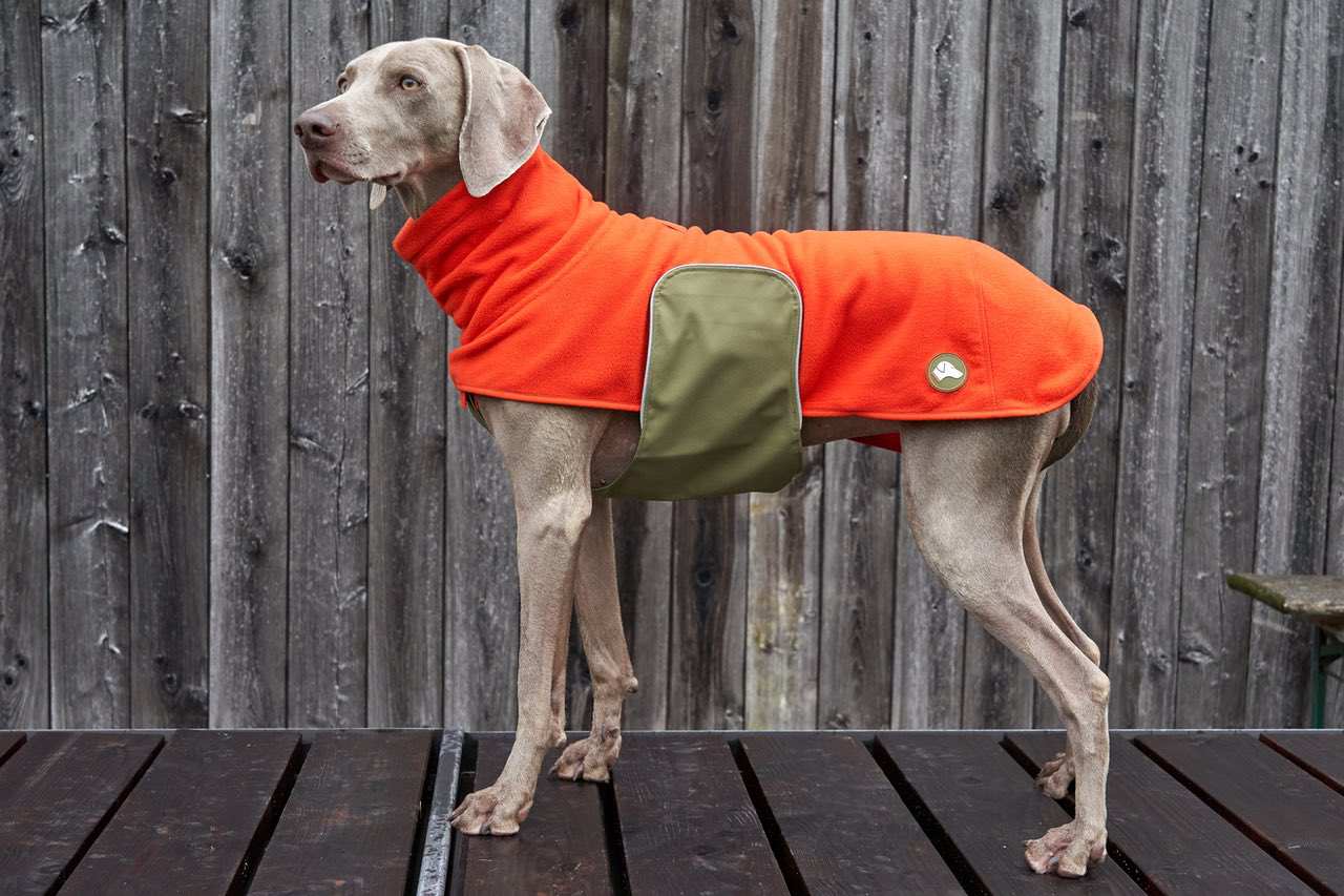 Fleece Hundepullover Henry in Pumpkin Orange