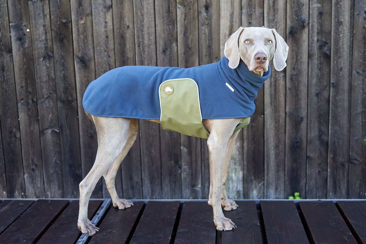 NEU: Fleece Hundepullover Henry in Navy Blau