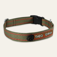 Leine & Halsband