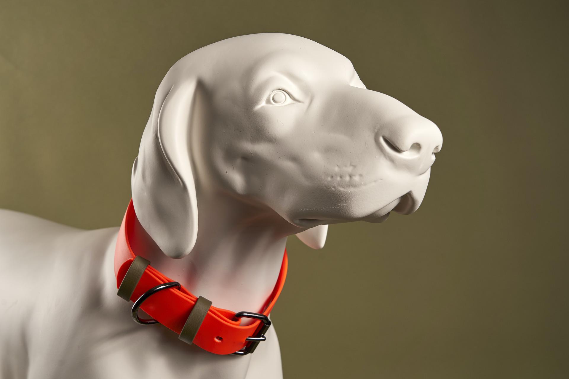 Biothane Halsband Charlie in Orange