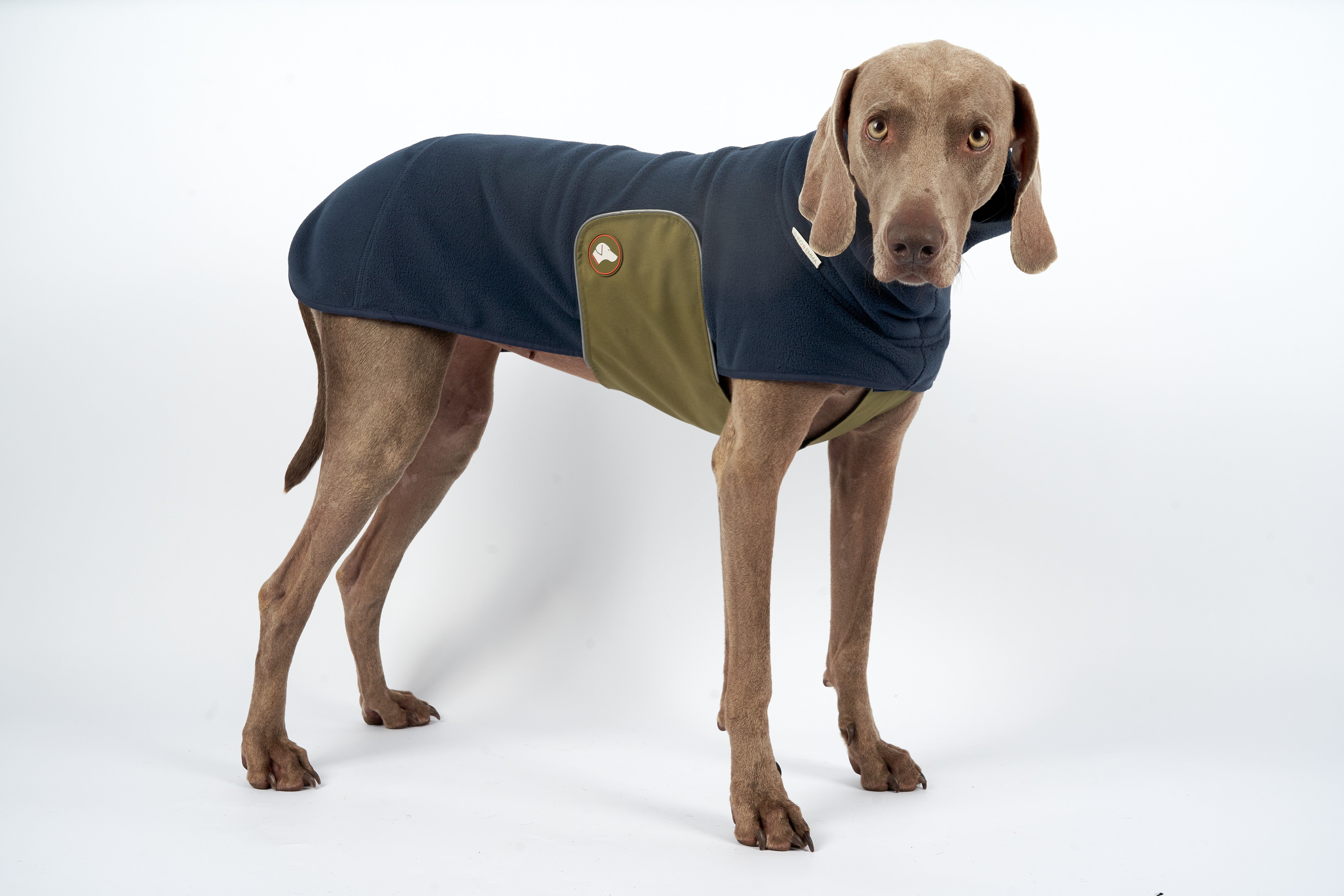 Fleece Hundepullover Henry in Navy Blau