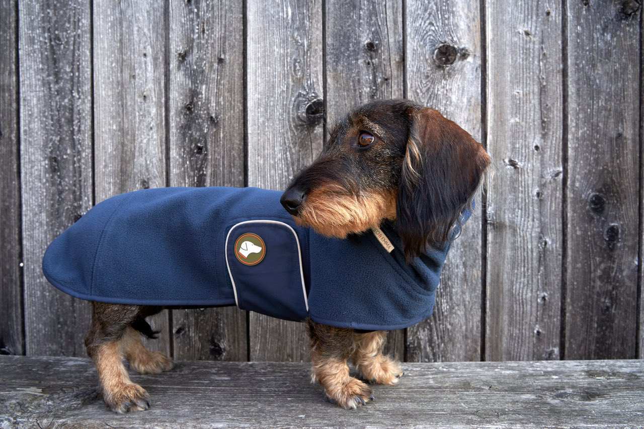 Fleece Dackelpullover Henry in Navy Blau