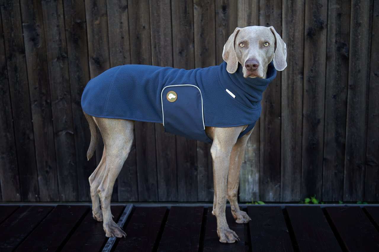 NEU: Fleece Hundepullover Henry in Navy Blau
