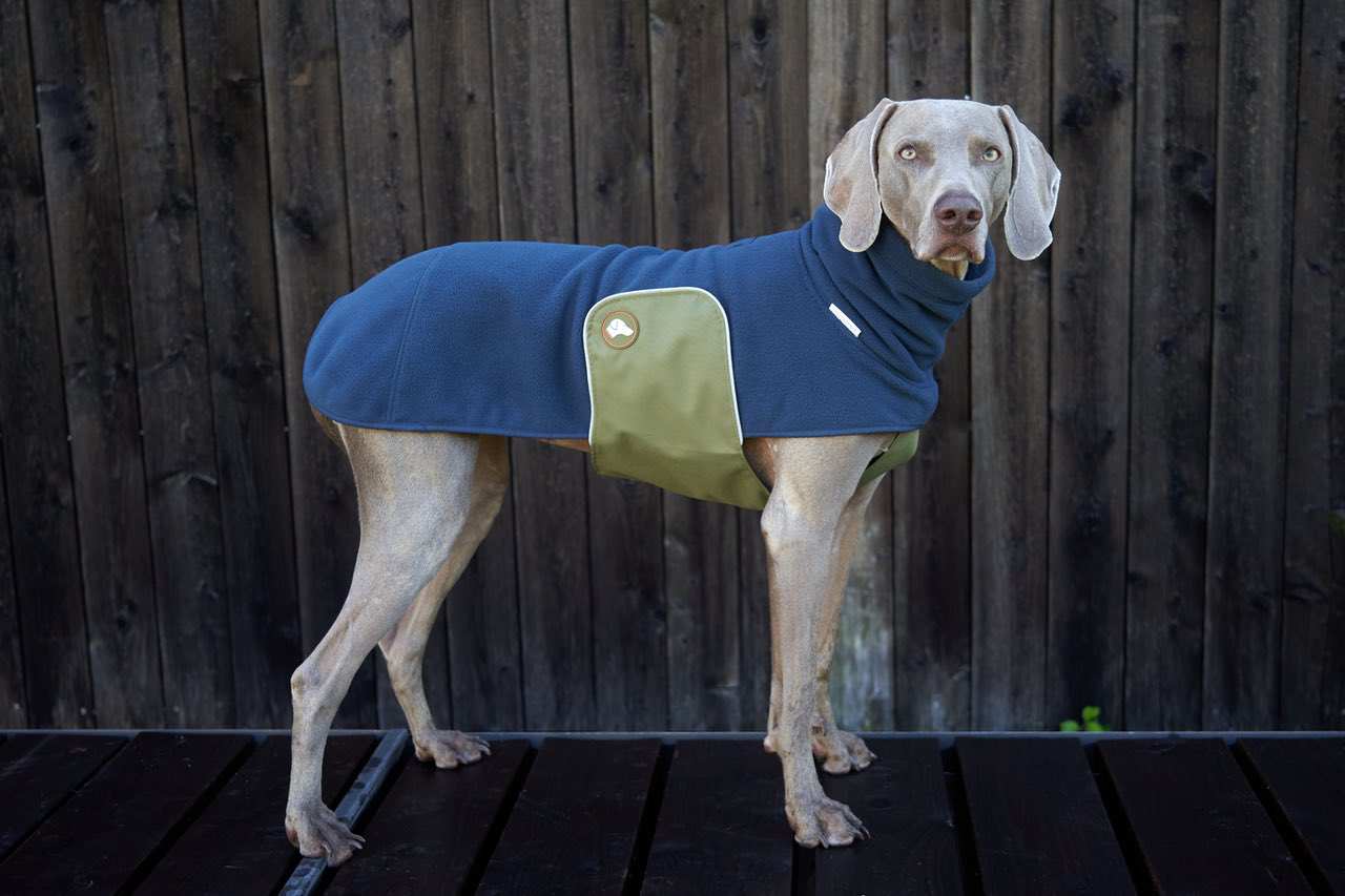 NEU: Fleece Hundepullover Henry in Navy Blau