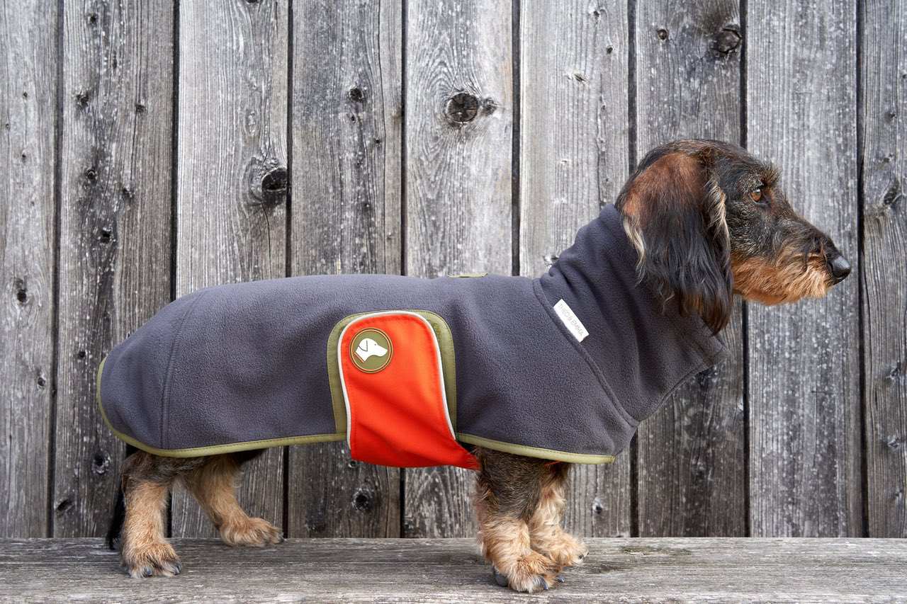 Fleece Dackelpullover Henry in Anthrazit