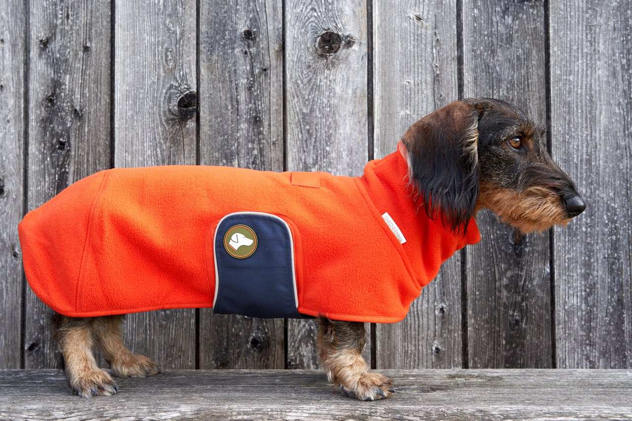 Fleece Dackelpullover Henry in Pumpkin Orange