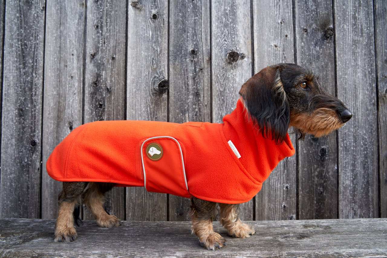 Fleece Dackelpullover Henry in Pumpkin Orange