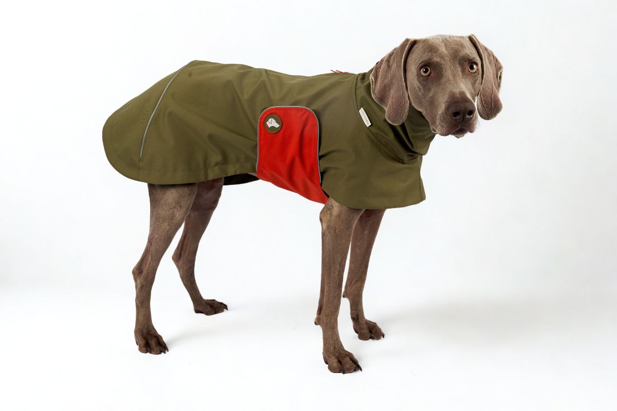NEU: Hunde-Regenmantel Cooper in Oliv