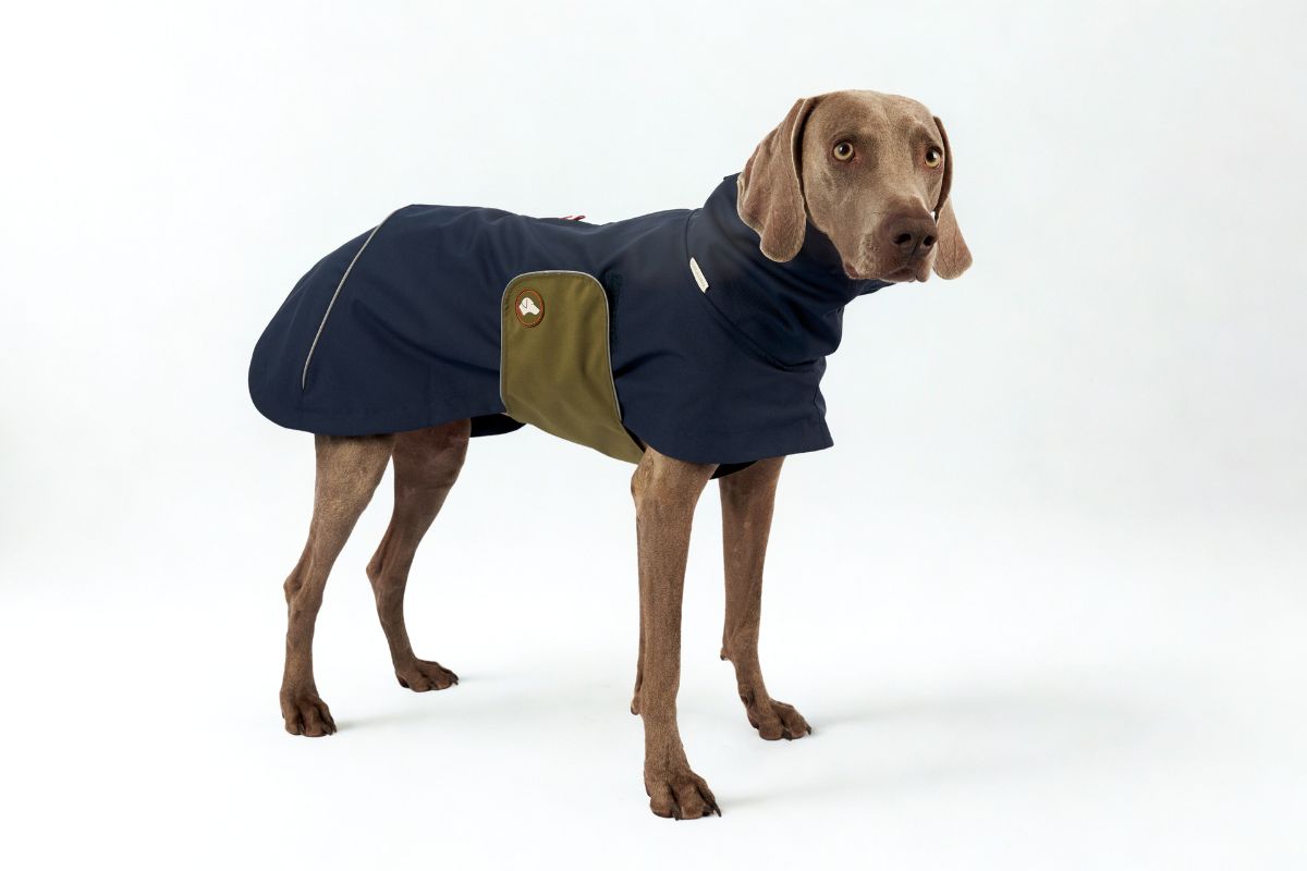 NEU: Hunde-Regenmantel Cooper in Navy Blau