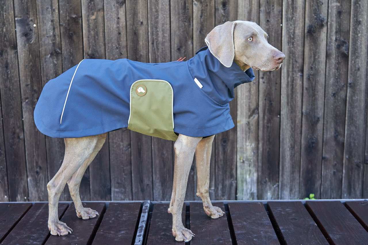 NEU: Hunde-Regenmantel Cooper in Navy Blau
