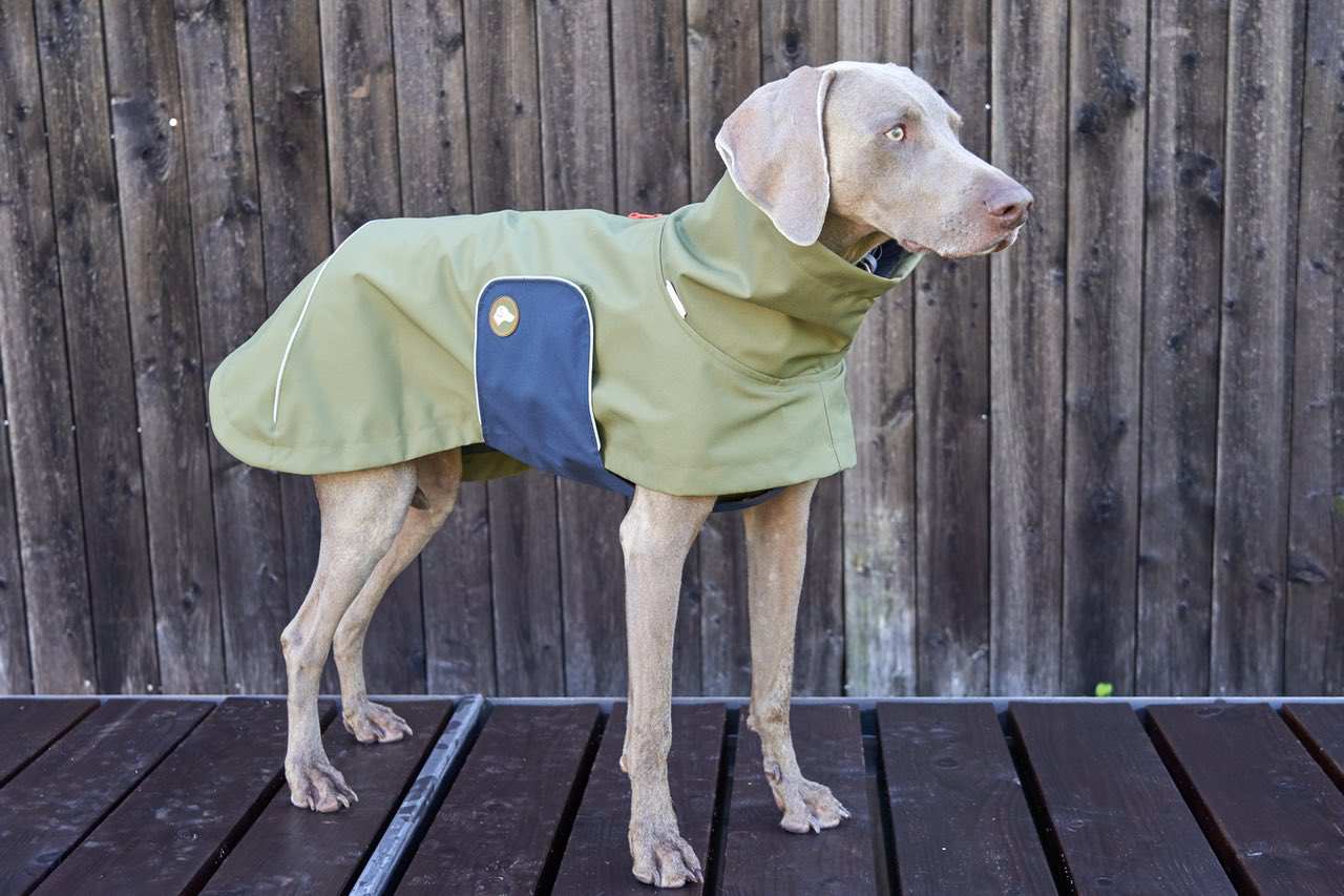 NEU: Hunde-Regenmantel Cooper in Oliv