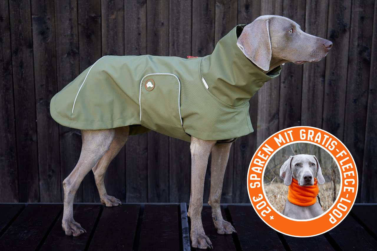 Hunde-Regenmantel Cooper in Olive Branch