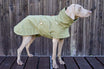 NEU: Hunde-Regenmantel Cooper in Oliv