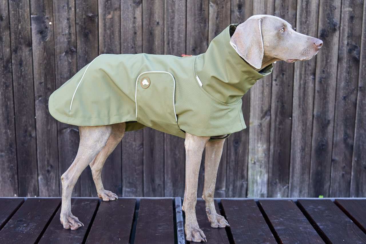 NEU: Hunde-Regenmantel Cooper in Oliv