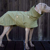 Hunde-Regenmantel Cooper in Olive Branch