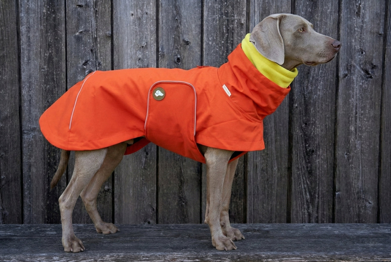 Regenmantel Cooper Pumpkin Orange mit Gratis-Loop im Bundle