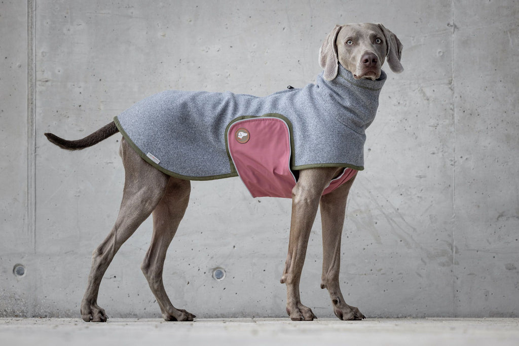 Design Hundepullover