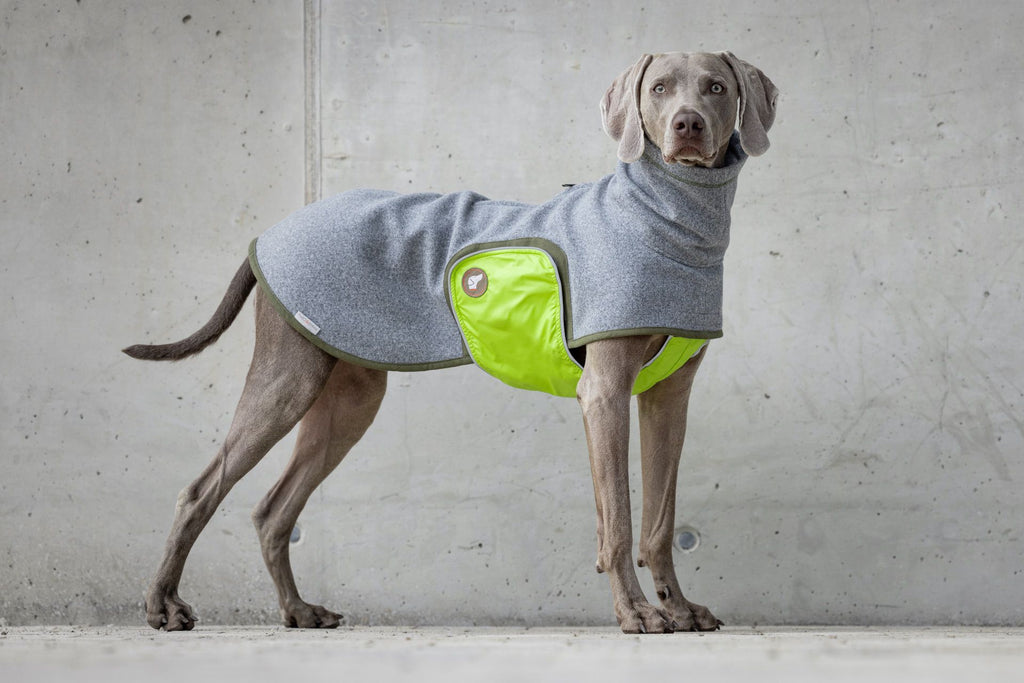 Design Hundepullover