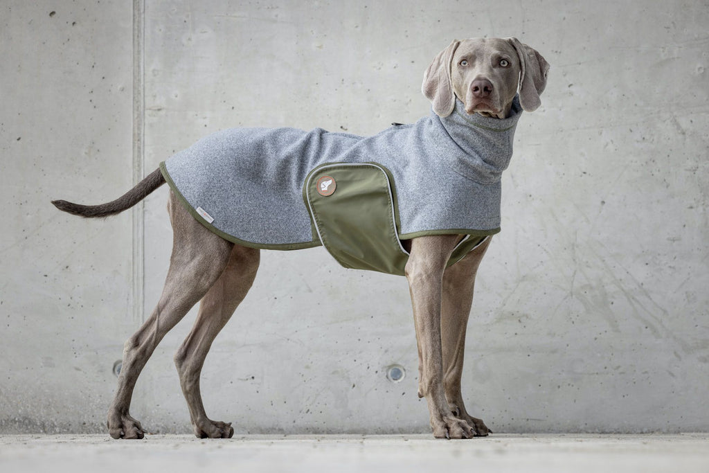 Design Hundepullover