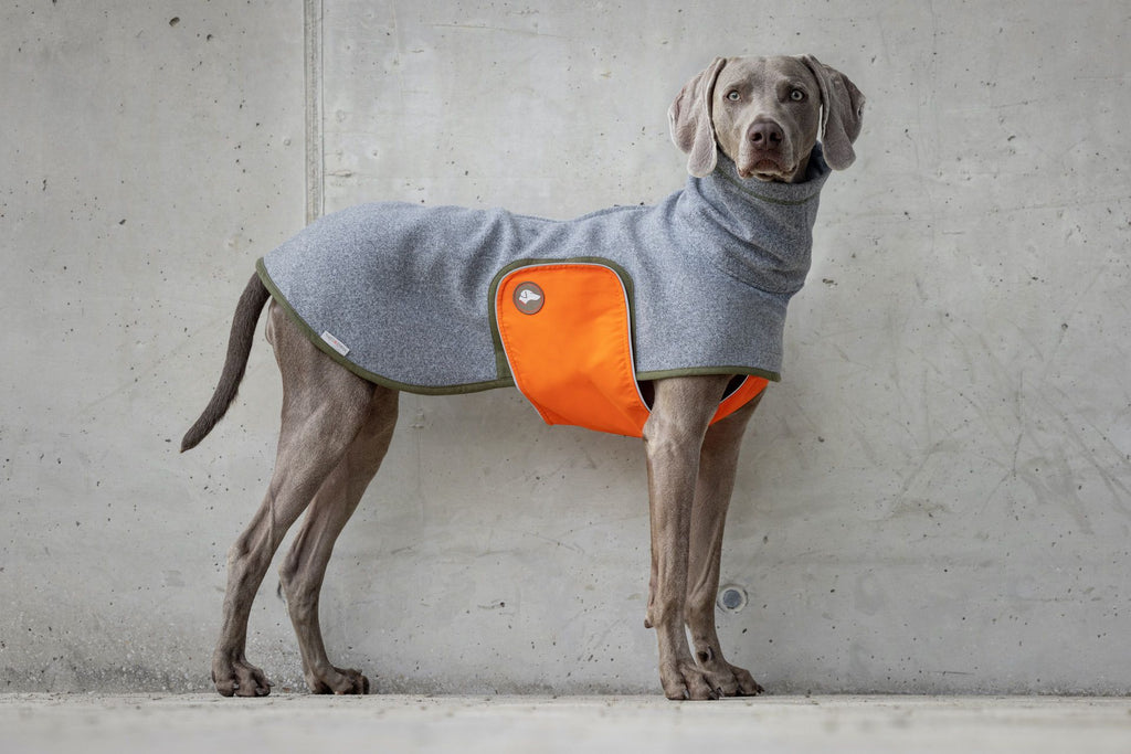 Design Hundepullover