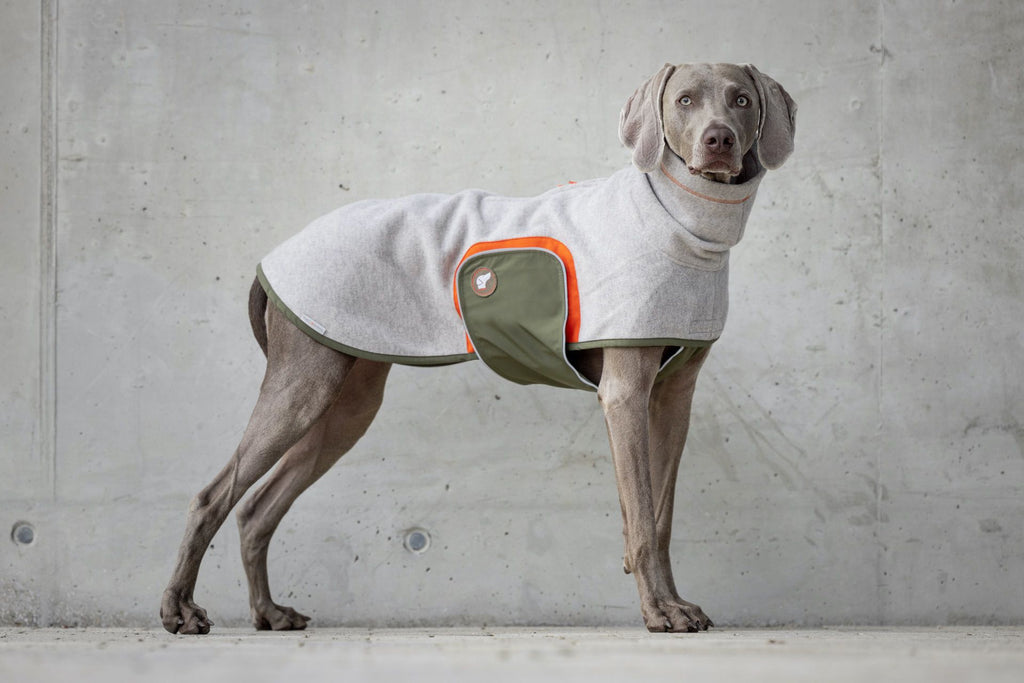 Hundepullover Fleece #Greige-Orange_Oliv