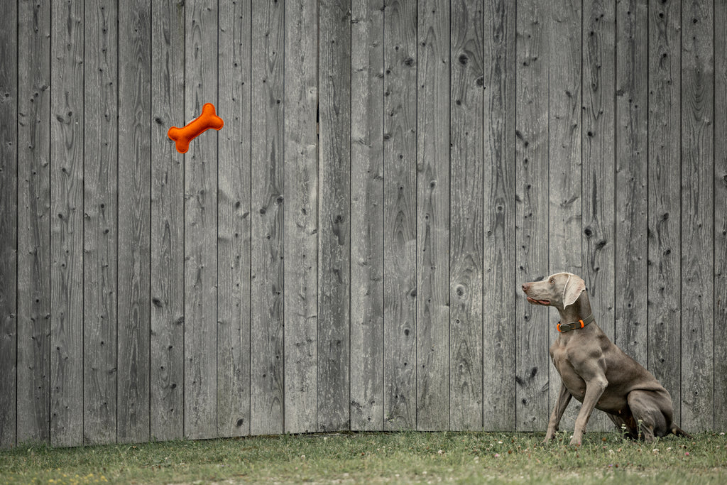 Stoffknochen für Hunde