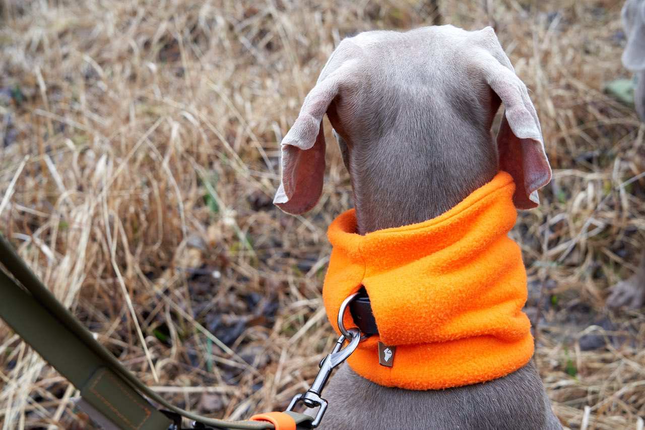 Fleece-Loop mit Halsbandeingriff