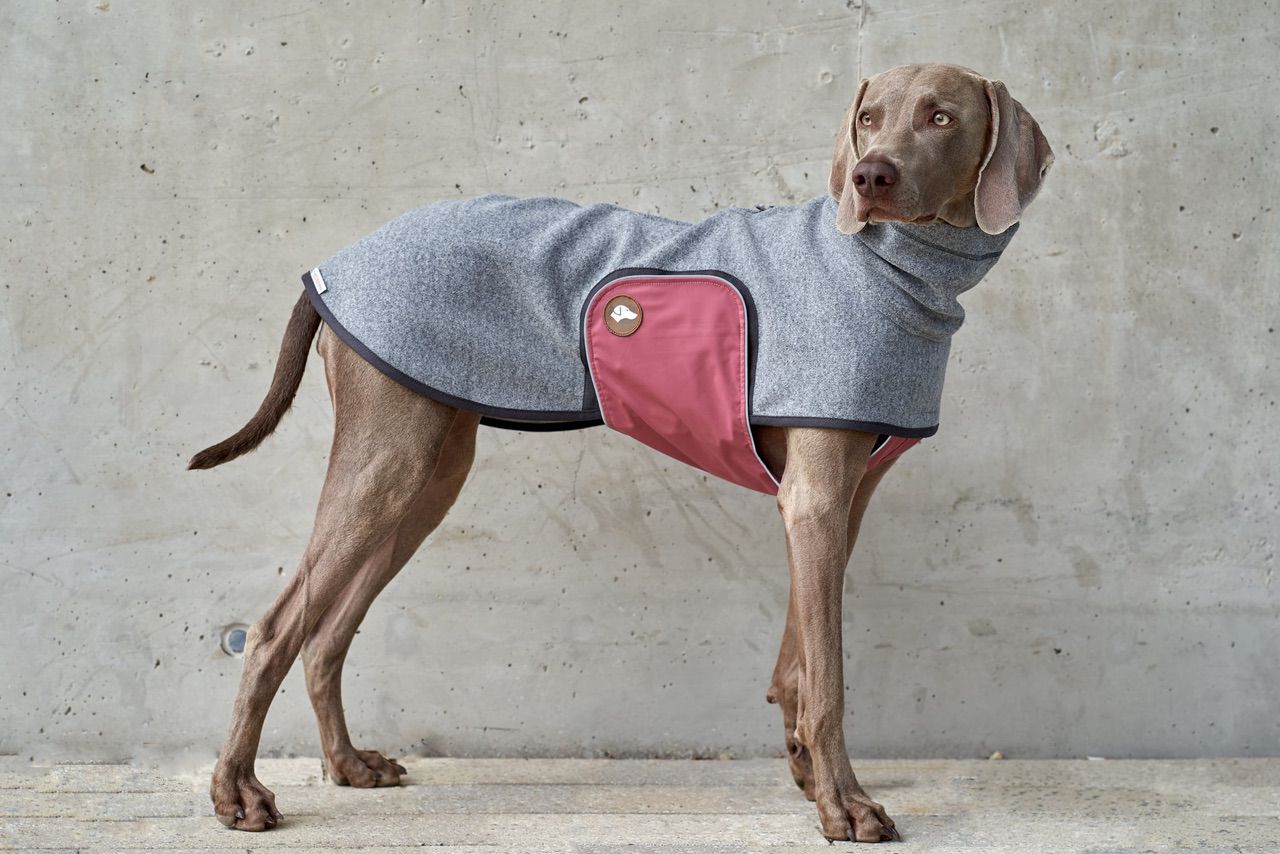 Hundepullover #Anthrazit_Himbeer