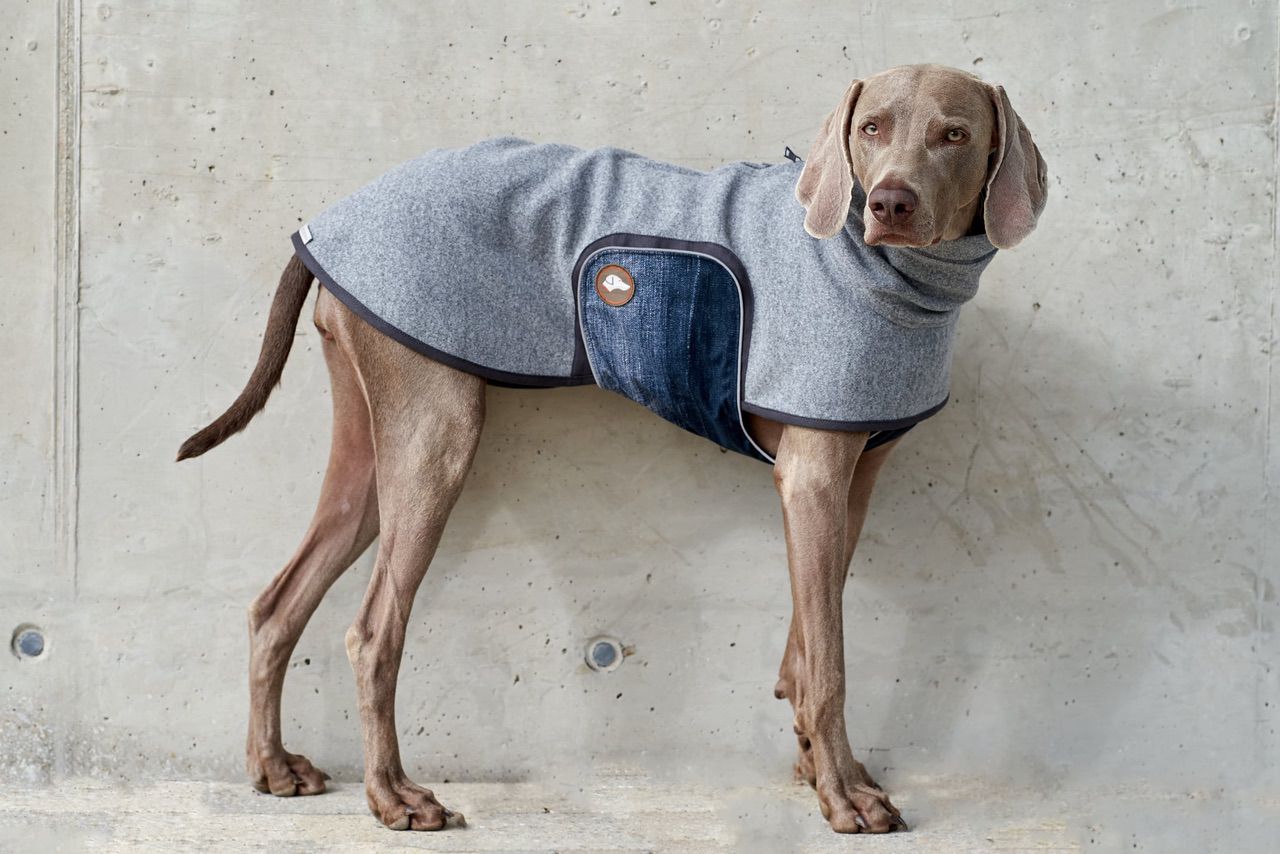 Hundepullover #Anthrazit_Jeans