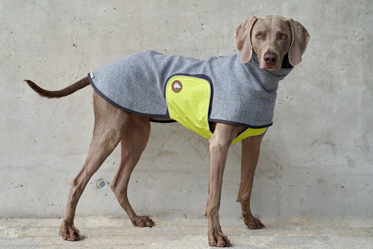 Hundepullover #Anthrazit_Lemon