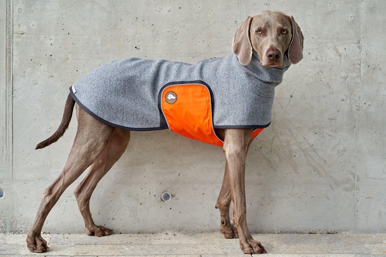 Hundepullover #Anthrazit_Orange