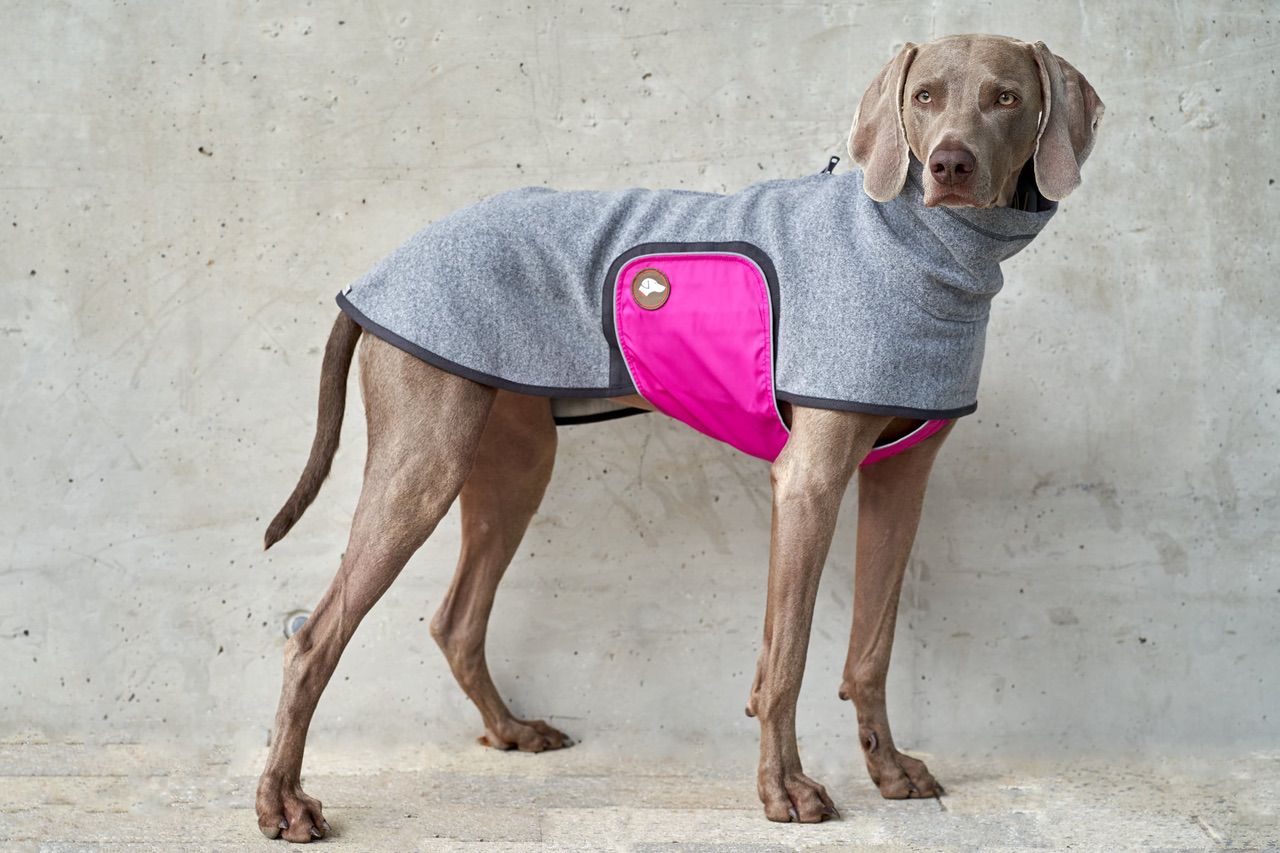 Hundepullover #Anthrazit_Pink