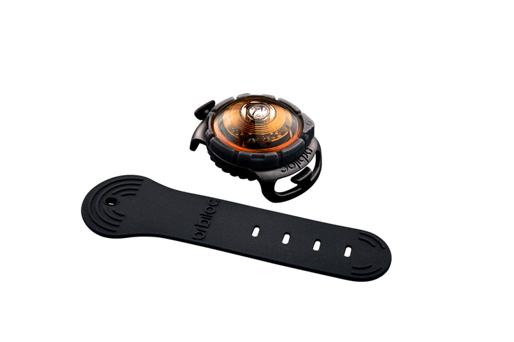 Orbiloc Dog Dual Amber