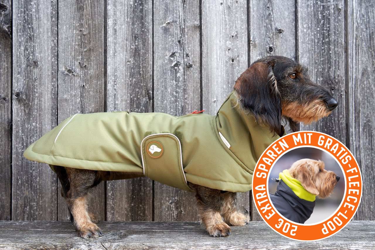Dackel-Wintermantel Oskar in Olive Branch