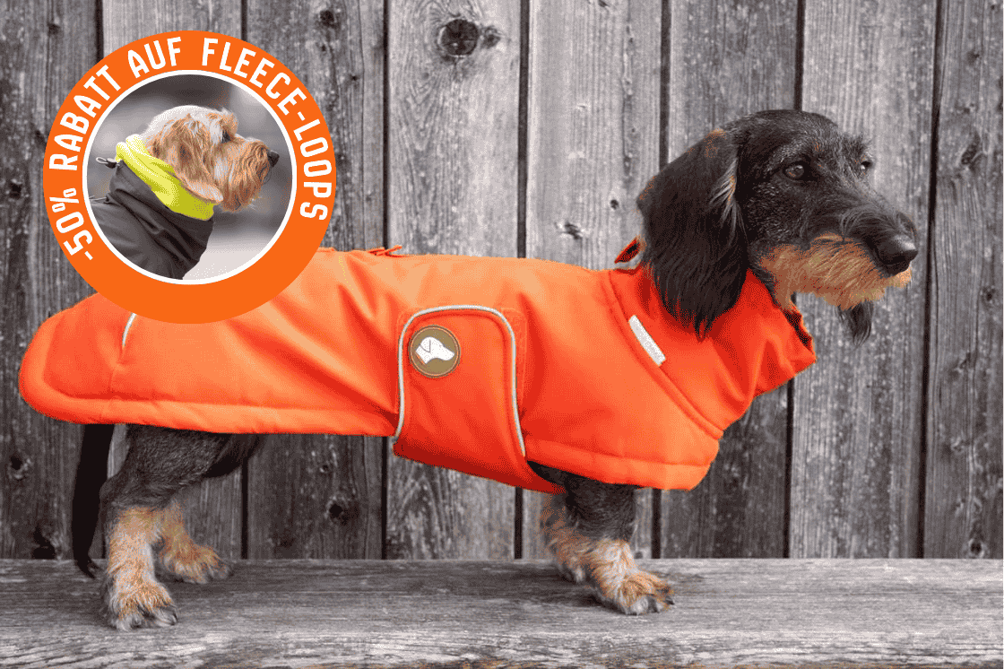 Dackel-Wintermantel Oskar in Pumpkin Orange
