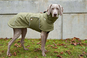 Hundewintermantel Oliv