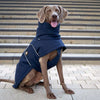 Oskar dog winter coat in Midnight Navy