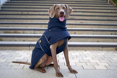 Oskar dog winter coat in Midnight Navy