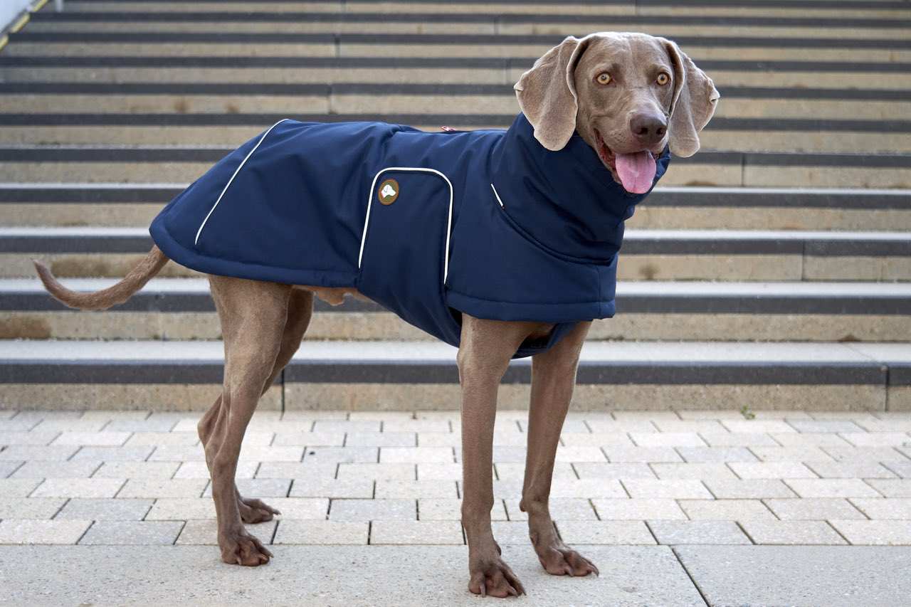 Hunde-Wintermantel Oskar in Navy Blau