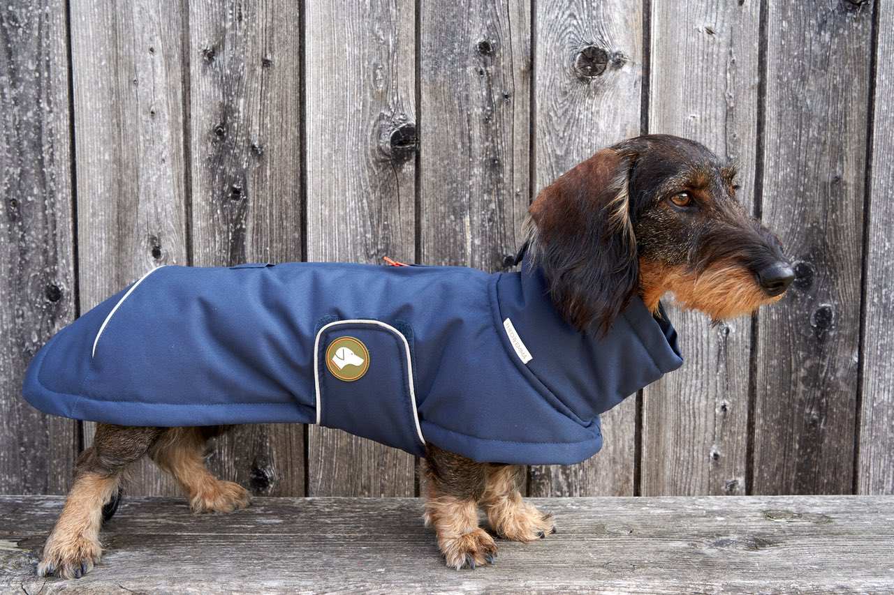 Dackel-Wintermantel Oskar in Navy Blau