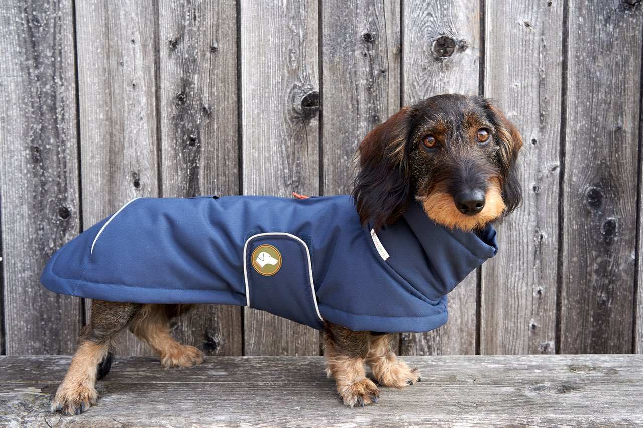 Dackel-Wintermantel Oskar in Navy Blau