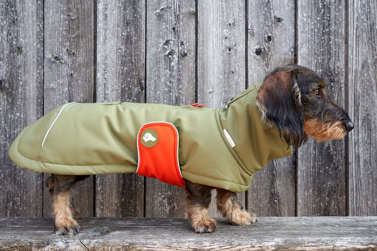 Dackel-Wintermantel Oskar in Oliv