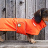 Dackel-Wintermantel Oskar in Pumpkin Orange