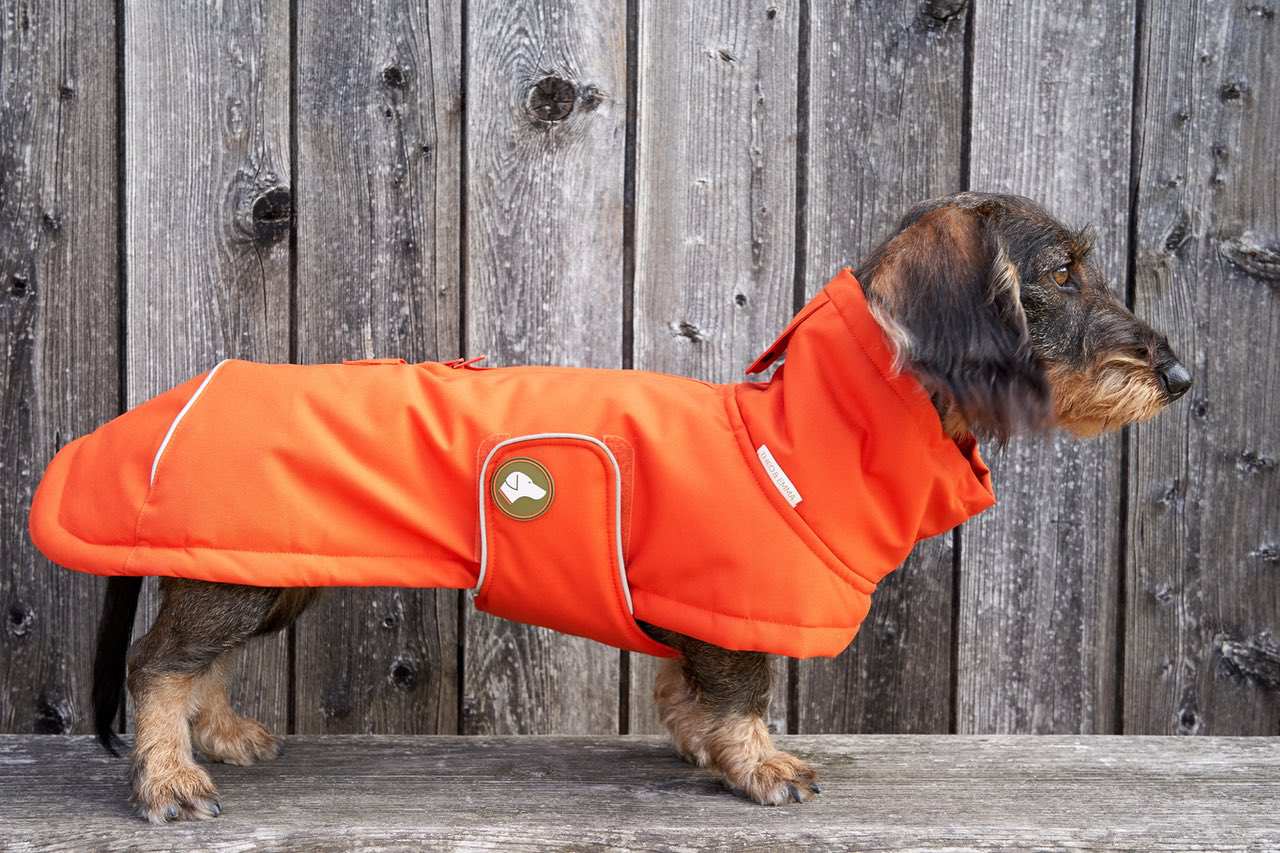Dackel-Wintermantel Oskar in Pumpkin Orange