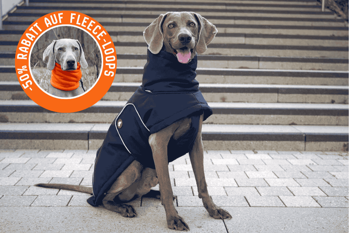 Hunde-Wintermantel Oskar in Midnight Navy