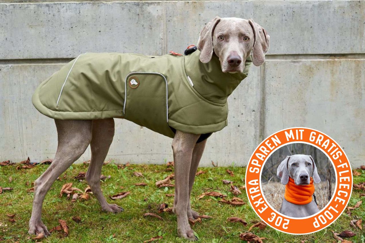 Hunde-Wintermantel Oskar in Olive Branch